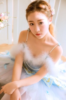 小黄花必看开车必备